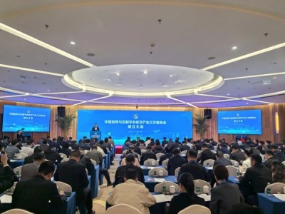 中国指挥与控制学会低空产业工作委员会在京成立
